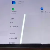 海外版骁龙870平板，11寸屏能刷OPPO系统，发车价才499元