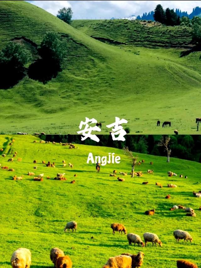 安吉｜三日游攻略（悠闲版）