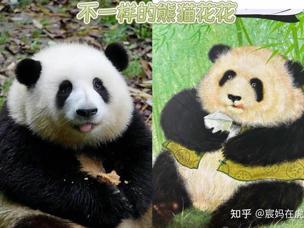 有哪些适合孩子看的科普书推荐？