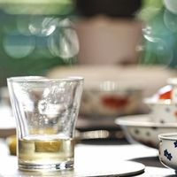 推荐五款可以闭眼入的凤凰单丛,赶紧收藏跟着买!