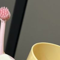 口腔清洁新体验：电动牙刷、水牙线、漱口水，哪款是你的心头好？