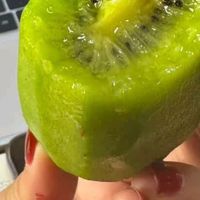 陕西当季绿心猕猴桃上市