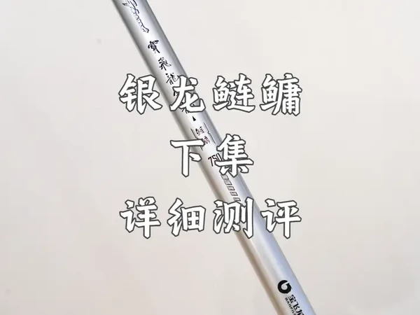 宝飞龙银龙鲢鳙详细测评解说下集 银龙鲢鳙的调性、硬度等与炽晖更加接近，不过使用起来还是有一些区别。金牛的中后段更加柔和一些，使用感觉会更加的细腻。补充一下总结的内容，在千元内（7.2米）我测试过的鲢鳙