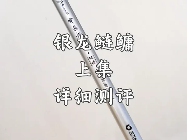 宝飞龙银龙鲢鳙详细测评解说 这个钓竿是借鉴了达瓦遡系列设计的一款鲢鳙竿，也有宝飞龙自己的一些思路。说这个竿子在设计与实际使用中与银龙大物龙韧K9等有很大的不同，用料也更好。与红遡也进行了一些对比，比红