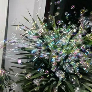 妙贝乐泡泡枪：夏日清凉玩乐