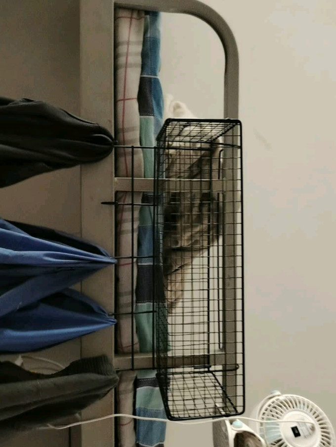收纳篮