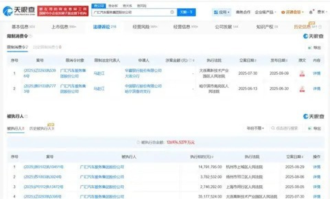 广汇汽车及法定代表人被限制消费，涉金融借款纠纷案