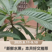 阳光玫瑰跌价,香蕉都是克隆|「水果圈」8月4篇好文推荐