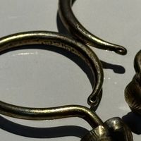 闲鱼250元购得丁香风耳环