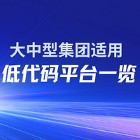 2025年五大低代码平台推荐：大中型企业选型指南