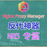 反向代理神器，NAS平台，Nginx Proxy Manager，保姆级教程