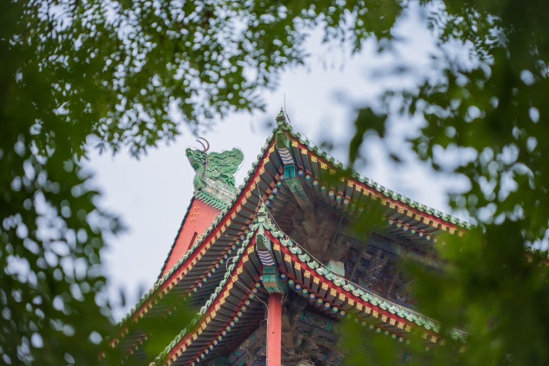 尼康Z6III+尼克尔 Z 24-120mm f/4 S,一镜搞定旅行大片