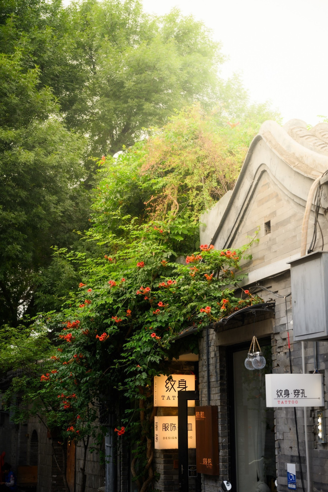尼康Z6III+尼克尔 Z 24-120mm f/4 S,一镜搞定旅行大片