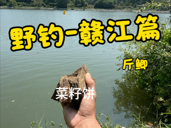 野钓赣江，收获惊喜