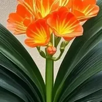 这些年贬值最多的8个物品，从上百万跌到白菜价，现在都没人要啦