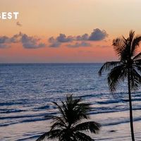 轻量治愈感：椰子树锁屏设计