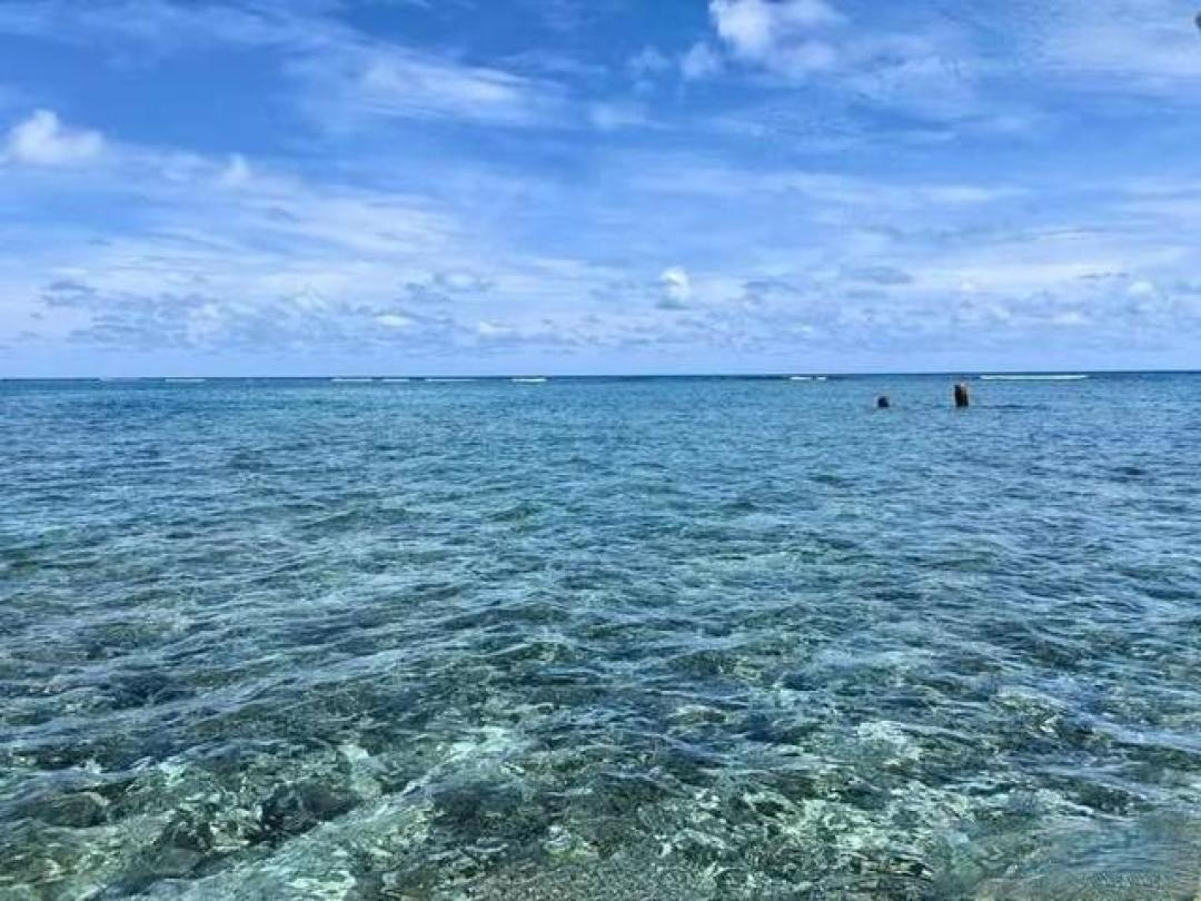 中国南海生态屏障构建:解读黄岩岛国家级自然保护区的战略部署与治理实践