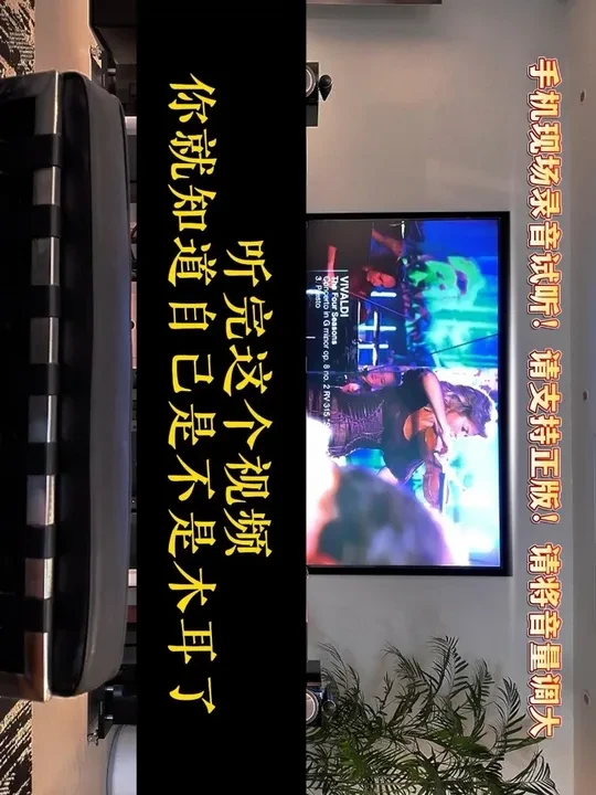 主打一个听劝，现在用穆特小提琴来测试测试#发烧hifi #音箱对比