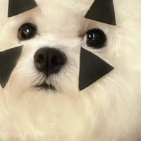 狗狗肠胃不好吃什么狗粮好呢？肠胃敏感狗狗的5款低敏狗粮推荐