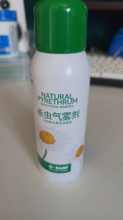 换季清洁必备：天然除虫菊花杀虫剂
