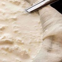 下一个黄金原料？巨头们都在悄悄布局乳清！ | 新发现