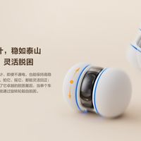 想要时刻查看宠物在家的情况，哪些安全又清晰的摄像头值得入手？