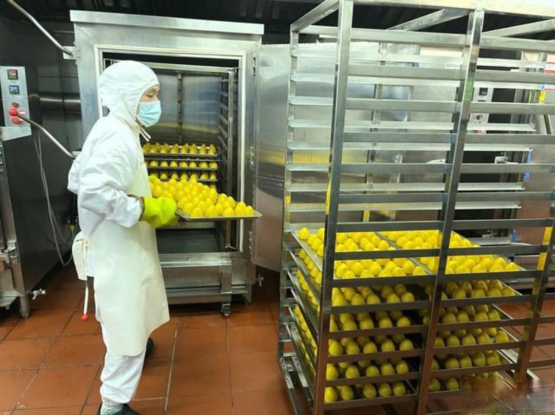 预制菜六千亿市场陷标准争议：国标细化路径如何破解定义鸿沟与信任危机？