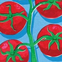 橘滋新款撞色T恤，适合秋季穿着