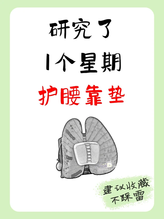 护腰靠垫选错=白花钱！🔥超全干货快码住