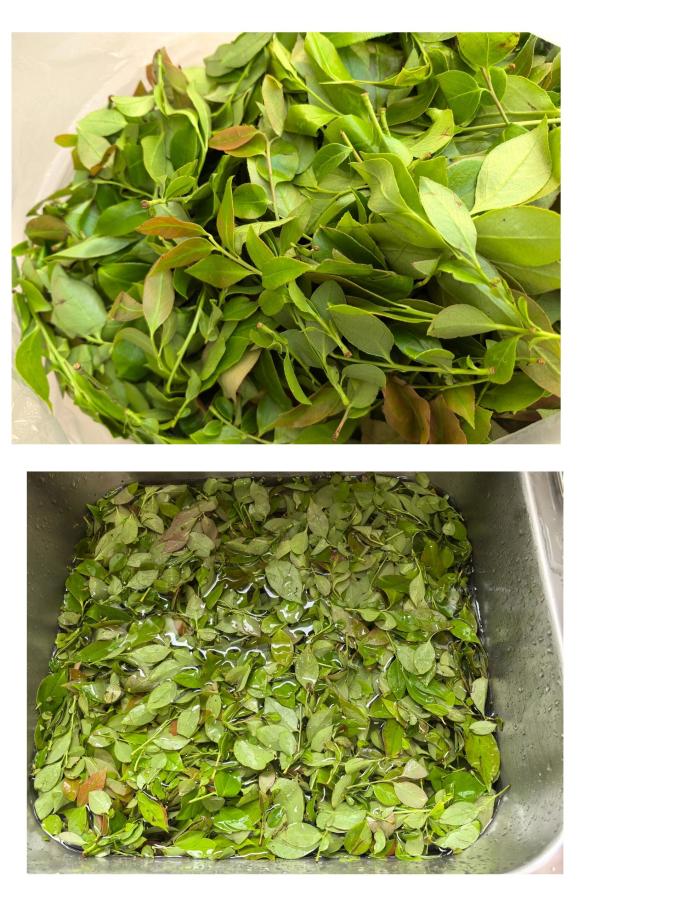 柴火大院谷物/杂粮/粥米