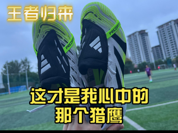 王者归来 这才是我心中的那个猎鹰