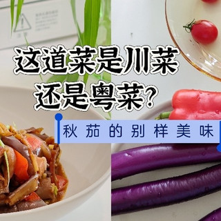 这道菜是粤菜还是川菜？秋茄的别样美味