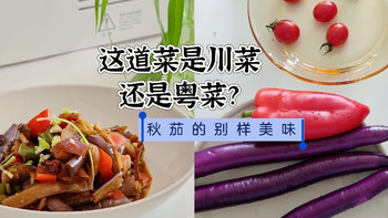 这道菜是粤菜还是川菜？秋茄的别样美味 