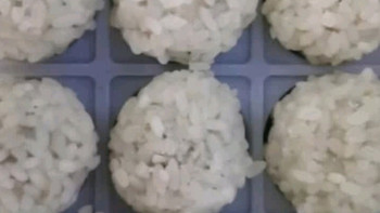 洪湖农家 珍珠藕丸 加热即食 丸子速冻 火锅食材 生鲜 蔬菜 优选