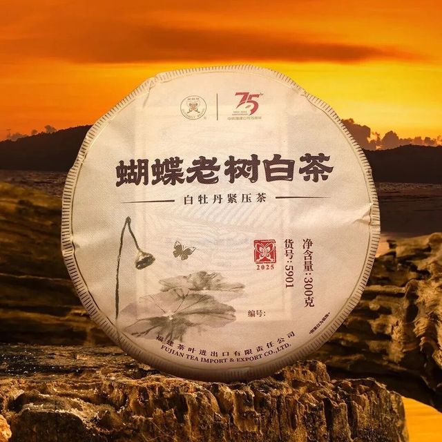 中茶白茶新品丨2025“蝴蝶老树白茶”（5901）（中茶福建公司75周年纪念版）