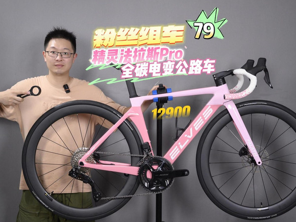 ELVES精灵法拉斯PRO公路车架涂装碟刹碳纤维车架圈刹版59 【报价价格
