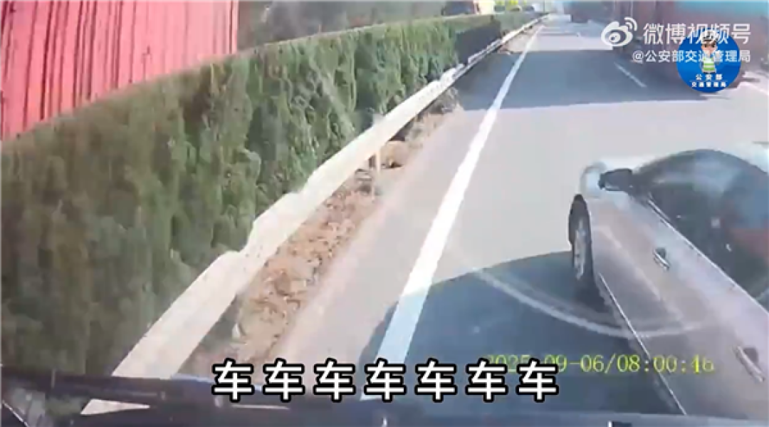 女子高速超车刚露车头就硬挤变道 被大货车顶180度掉头