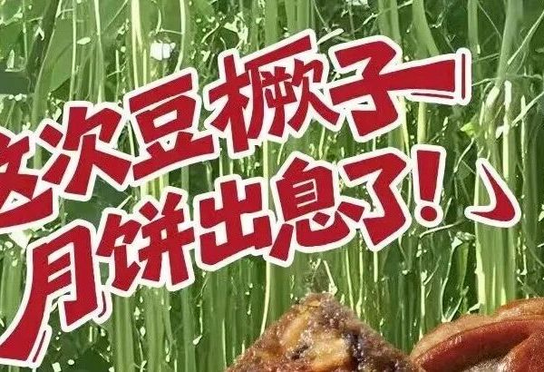 山东豆橛子月饼背后的文化密码何以引起传统与创新的味觉博弈？