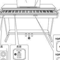 新手选立式电钢琴：海伦H305与雅马哈YDP165谁更值？