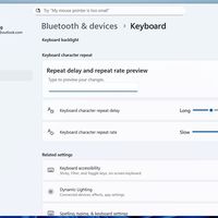 微软去控制面板化征程继续：更多键盘选项进入Windows 11设置