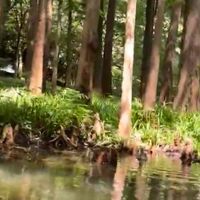 西湖，人间天堂的一颗明珠。周末来此，便是与诗意撞个满怀。