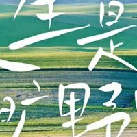 《人生是旷野啊》，从轨道到旷野:寻找自我节奏