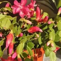 最新优惠