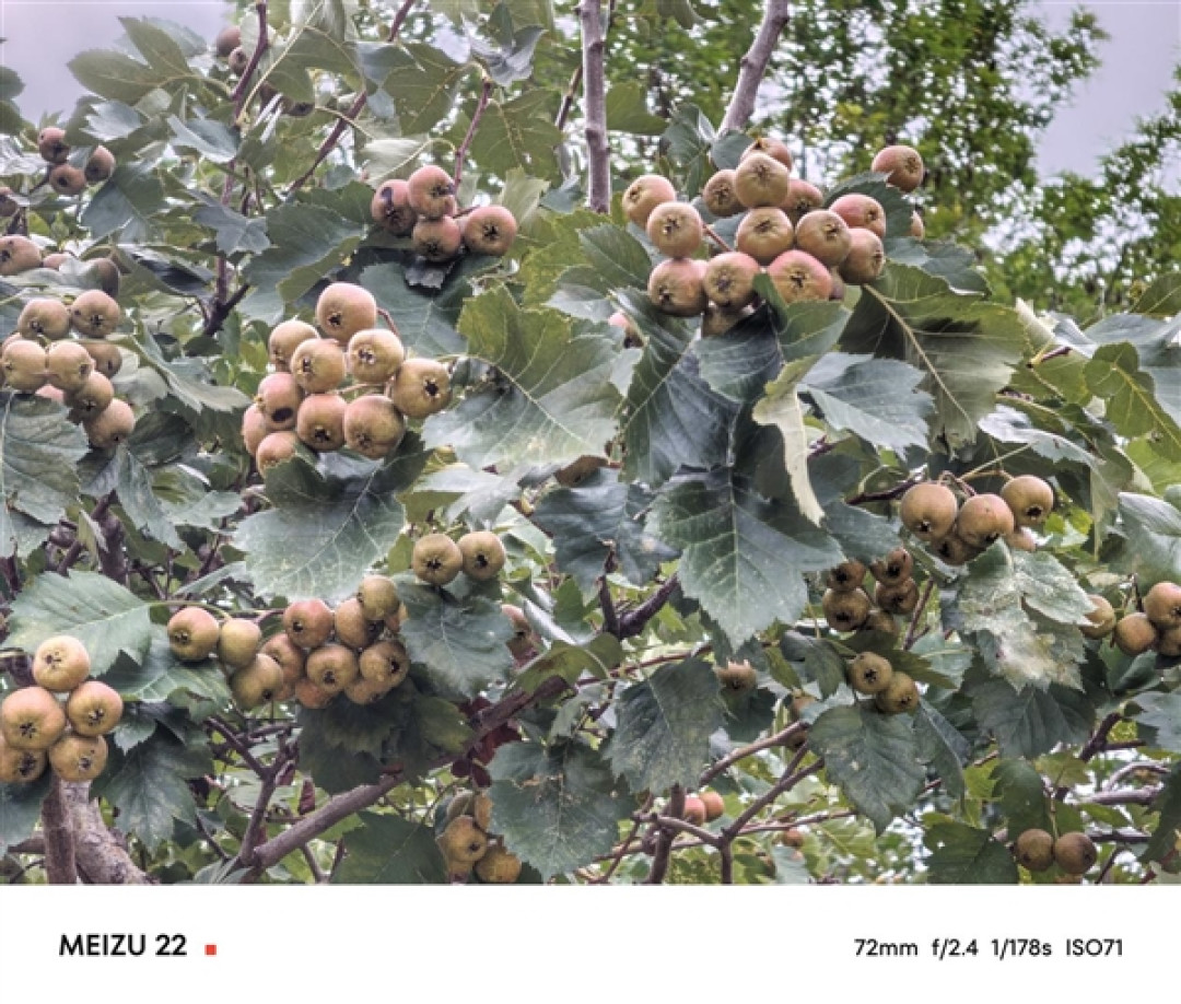 一年半磨一剑!魅族22评测:要做6.3英寸的综合体验旗舰