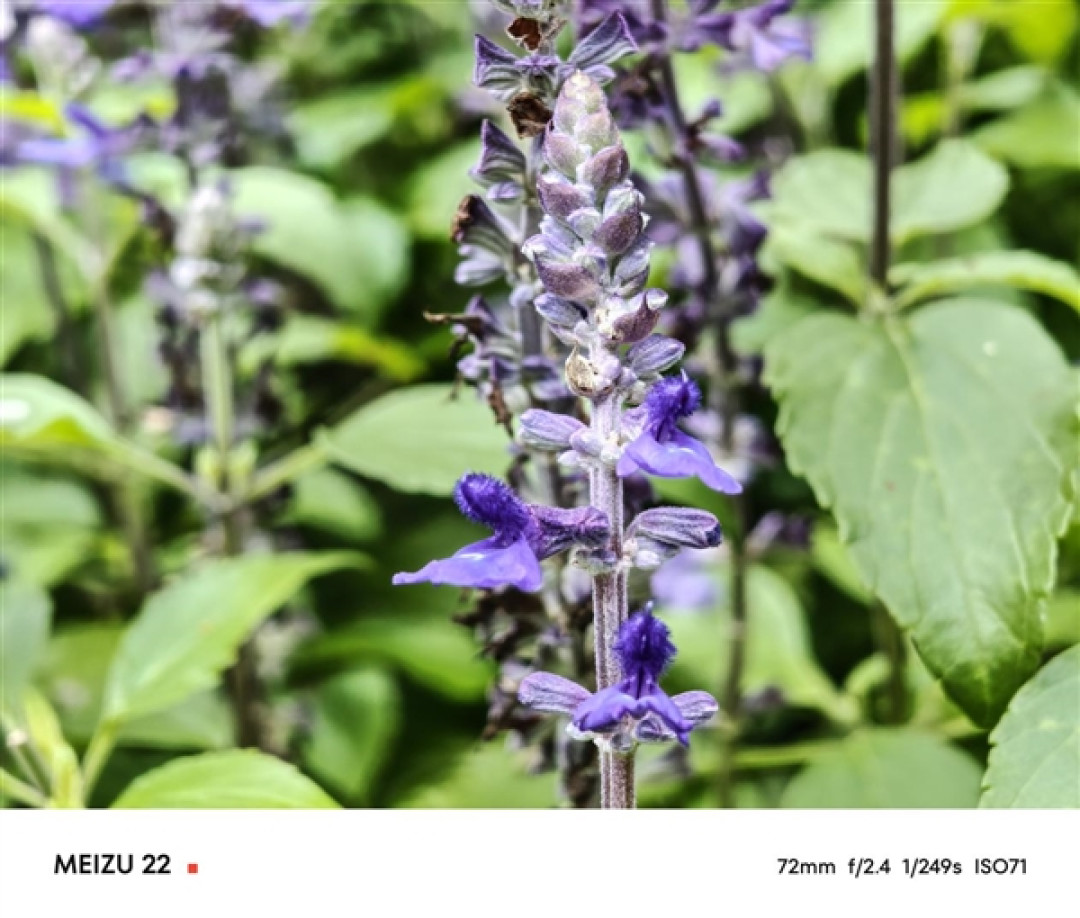一年半磨一剑!魅族22评测:要做6.3英寸的综合体验旗舰