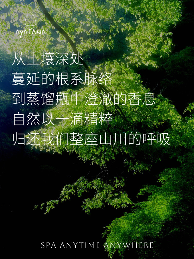 精油香薰
