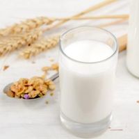 羊奶掺水和不掺水区别，快来看看吧！