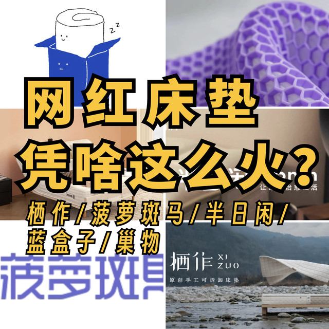 锐评5个网红床垫品牌，真有那么神？狗头护身doge