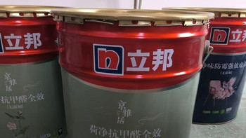 立邦京雅居荷净抗甲醛全效系列
