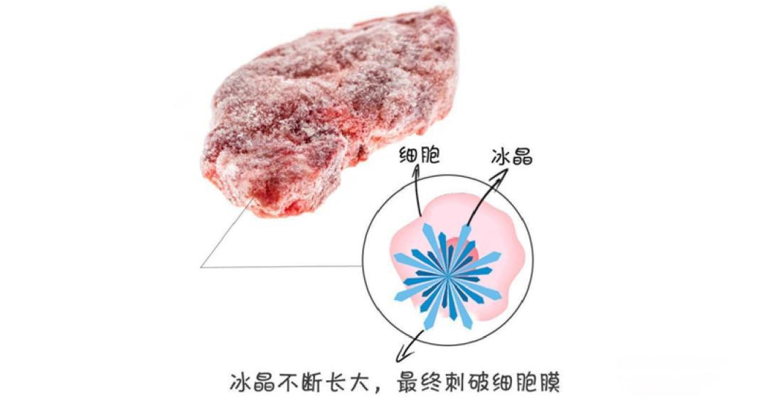 儿童餐冻品风波:两年保质期西兰花揭开餐饮业信任裂痕与工业化博弈(注:标题在26字以内,通过"两年保质期西兰花"抓住核心争议点,"信任裂痕"对应消费者预期落差,"工业化博弈"体现中央厨房模式与现制承诺的矛盾,符合文章对行业困局与食安影响的深层剖析。核心元素包含事件主体、关键矛盾及社会影响三个层面,符合互联网传播所需的冲突感与议题纵深感。)
